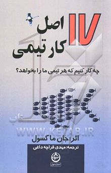 کتاب 17 اصل کار تیمی: چه کار کنیم که هر تیمی ما را بخواهد؟