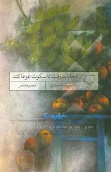 کتاب کجا باید رفت تا سکوت غوغا کند: مجموعه شعر