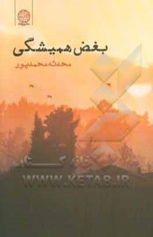 کتاب بغض همیشگی