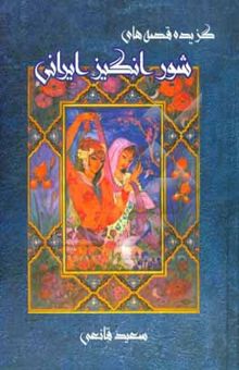 کتاب گزیده قصه‌های شورانگیز ایرانی
