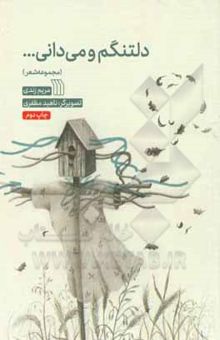 کتاب دلتنگم و می‌دانی ... (مجموعه شعر)