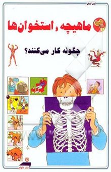 کتاب ماهیچه و استخوان‌ها چگونه کار می‌کنند؟