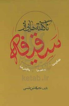 کتاب ناگفته‌هایی از سقیفه (رویکردها، پیامدها و واکنش‌ها)