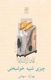 کتاب چیزی شبیه خوشبختی