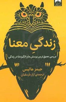 کتاب زندگی معنا: بررسی عمیق‌ترین پرسش‌ها و انگیزه‌ها در زندگی نوشته جیمز هالیس،لیلا نظامی‌نژاد