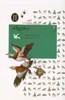 کتاب پرنده بی‌لانه