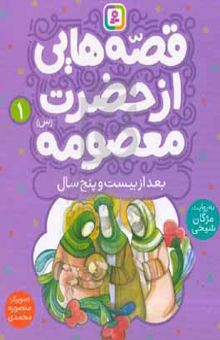 کتاب بعد از بیست و پنج سال نوشته مژگان شیخی،منصوره محمدی،محدثه ابراهیم‌زاده