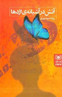 کتاب آتش در آشیانه‌ی اژدها