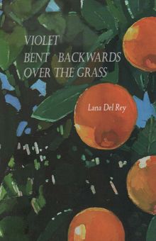 کتاب VIOLET BENT BACKWARDS OVER THE GRASS:بنفشه روي چمن وارونه شد (زبان اصلي،انگليسي)