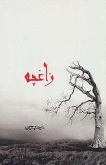 کتاب زاغچه نوشته حميد موسوي