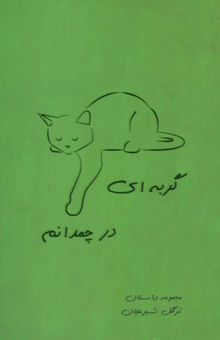 کتاب گربه اي در چمدانم (مجموعه داستان)