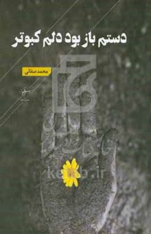 کتاب دستم باز بود دلم کبوتر