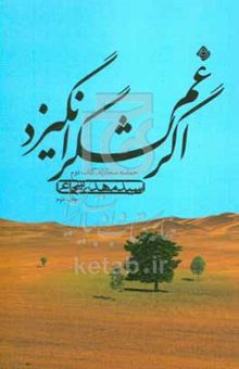 کتاب اگر غم لشگر انگیزد/حماسه سجادیه_کتاب دوم