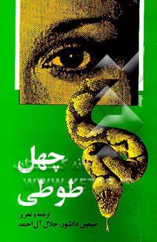 کتاب چهل طوطی