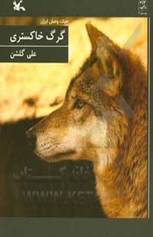 کتاب گرگ خاکستری
