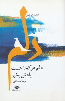 کتاب دلم هرکجا هست یادش بخیر