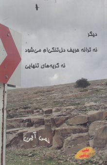 کتاب دیگر نه ترانه حریف دل تنگی‌ام می‌شود نه گریه‌های تنهایی نمی‌آیی؟