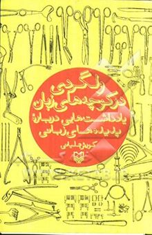 کتاب ولگردی در کوچه‌های زبان: یادداشت‌هایی درباره پدیده‌های زبانی