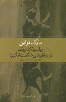 کتاب ویلسون کله‌پوک (و دوقلوهای شگفت‌انگیز)