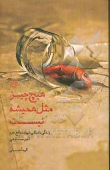 کتاب هیچ چیز مثل همیشه نیست: زندگی‌نامه داستانی شهید مدافع حرم امیر سیاوشی
