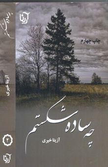 کتاب چه ساده شکستم/ 2جلدی