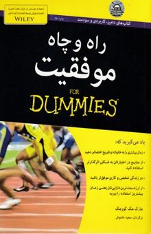 کتاب راه و چاه موفقیت For dummies