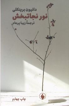 کتاب نور نجاتبخش: داستان واقعی مردی که دوباره می‌میرد و مشاهداتش را در دنیای دیگر شرح می‌دهد