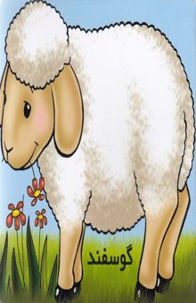 کتاب آموزش خردسال-گوسفند