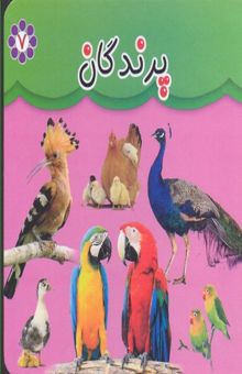 کتاب مقوایی 7-پرندگان
