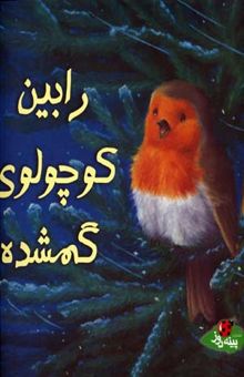 کتاب رابین کوچولوی گمشده