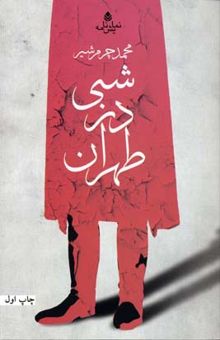 کتاب شبی در طهران