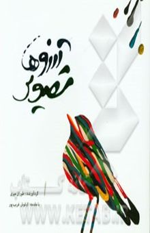 کتاب تصویر آرزوها: آثار تصویری هنرجویان نادره حق‌شناس